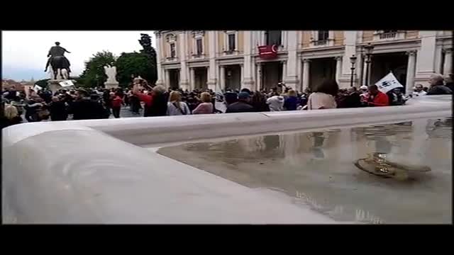 SOS Lupo, flashmob in Italia