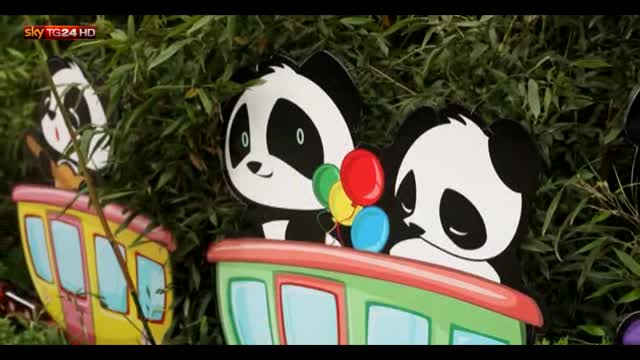 In Cina fanno festa anche i panda per Dragon Boat Festival