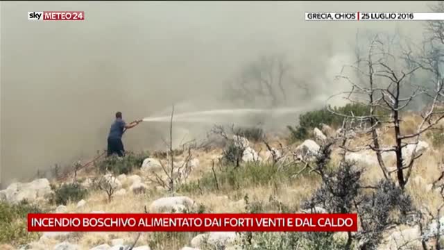 Vasto incendio boschivo a Chios: video