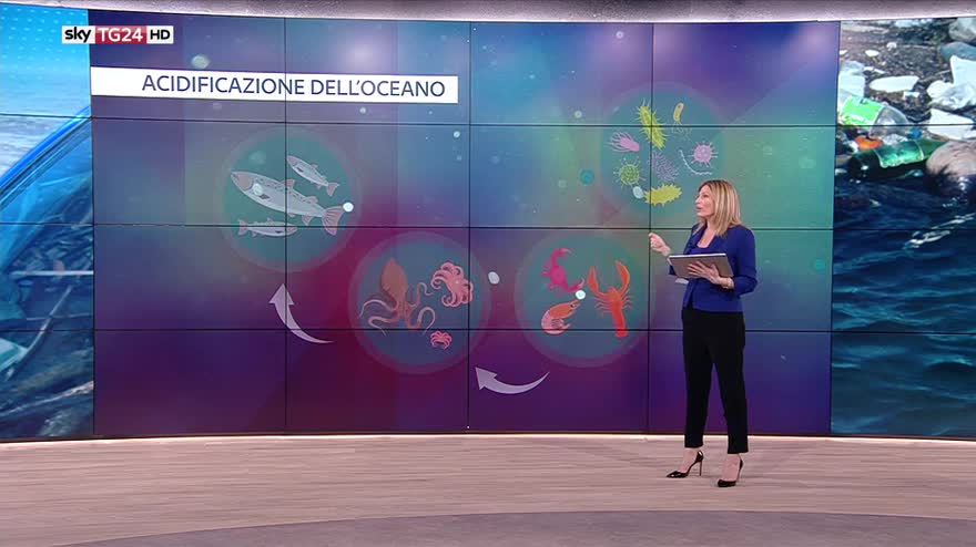 L'anidride carbonica e l'acidificazione degli oceani