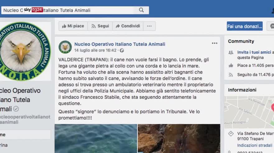 Cane con pietra al collo, ministri promettono pene severe