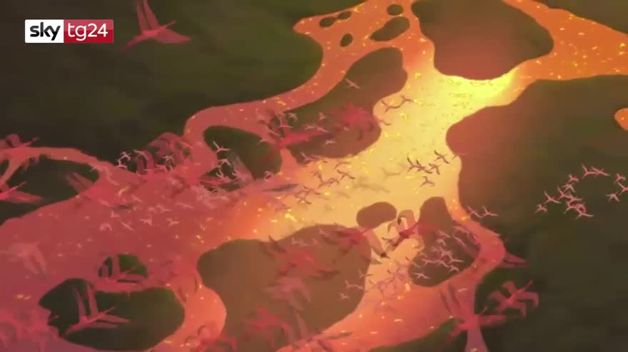 Il re leone, ad agosto al cinema il Live Action