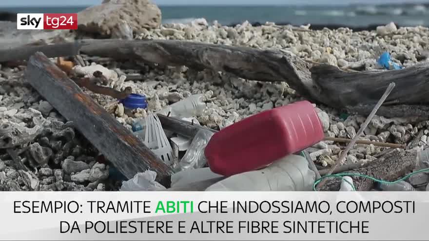 Cosa sono le microplastiche