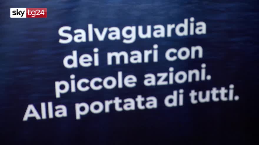 Un mare da salvare, l’impegno di One Ocean Foundation