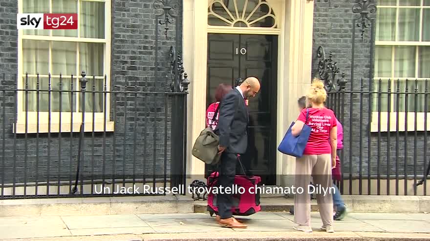 Video, arriva a Downing Street il cane di Boris Johnson