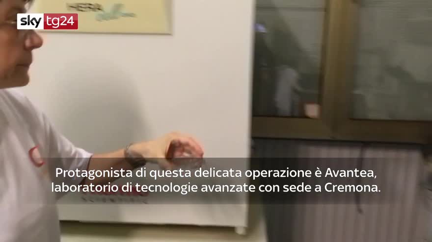 VIDEO Rinoceronte bianco del Nord, piano contro l'estinzione
