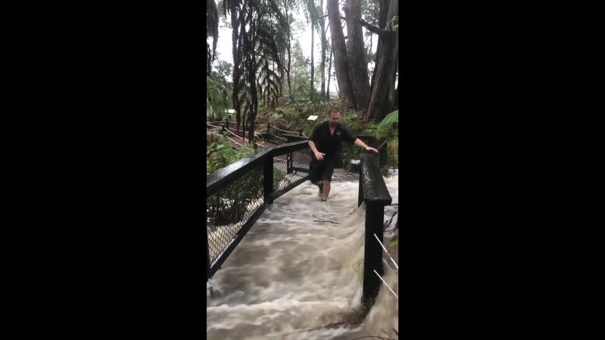 Australia, pericolo coccodrilli in un parco dopo alluvioni