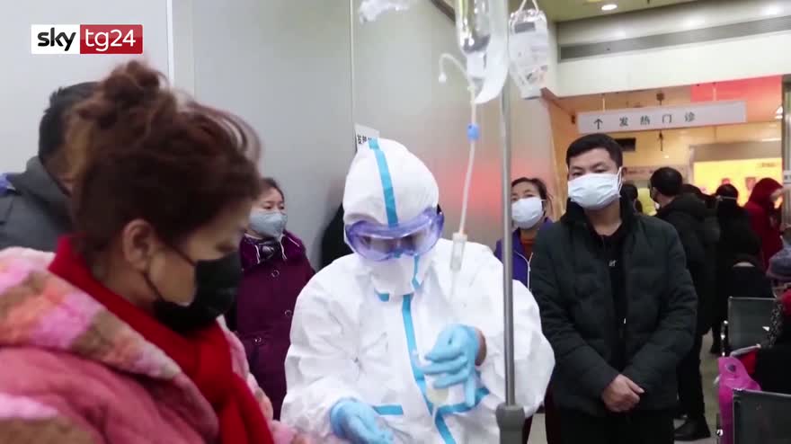 Allarme virus, OMS contro