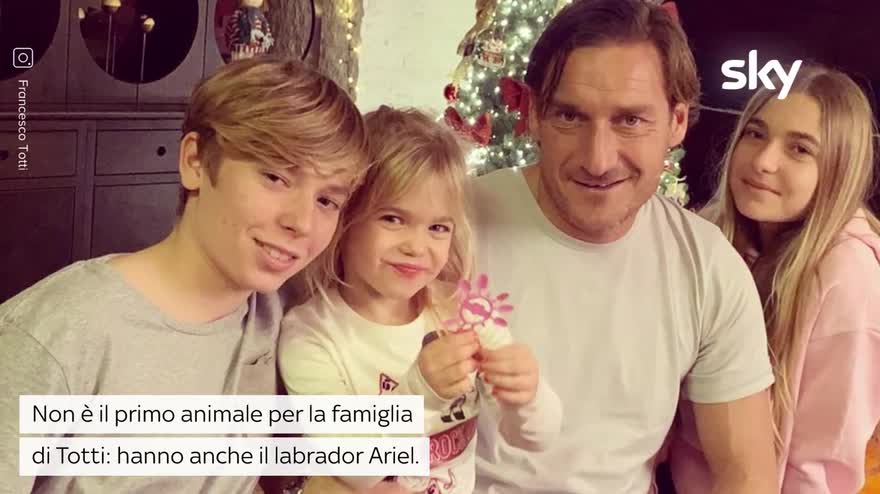 Francesco Totti posta la foto di Ilary Blasi con le figlie Le più belle  del mondo I fan Sei bello pure tu