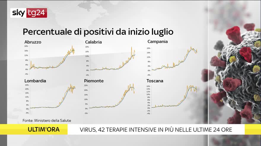 I numeri della pandemia del 19 novembre