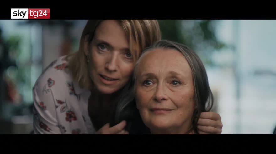 Oscar, shortlist: Notturno, Pinocchio, La vita davanti a sé