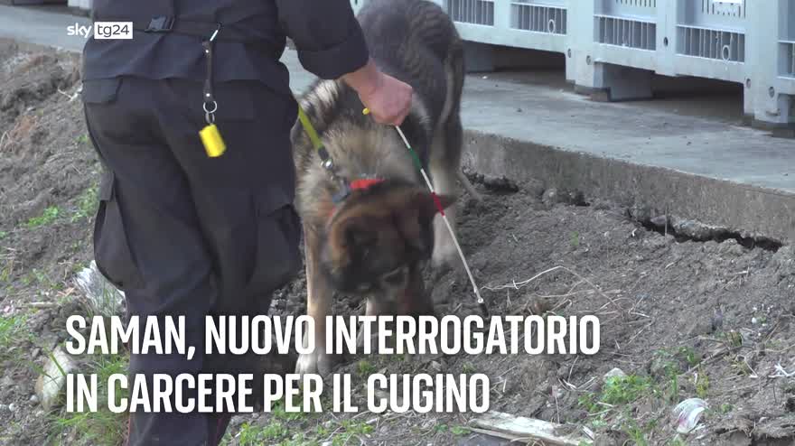 I titoli delle 19 del 2 luglio