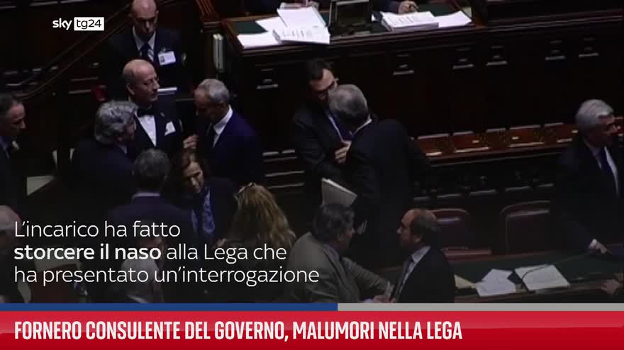 Fornero consulente del governo, malumori nella Lega