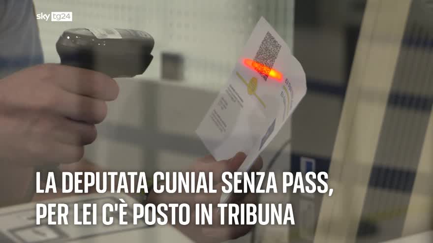 I titoli delle 19 del 19/11