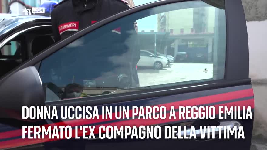 I titoli di Sky TG24 delle 19 del 20 novembre 2021. VIDEO