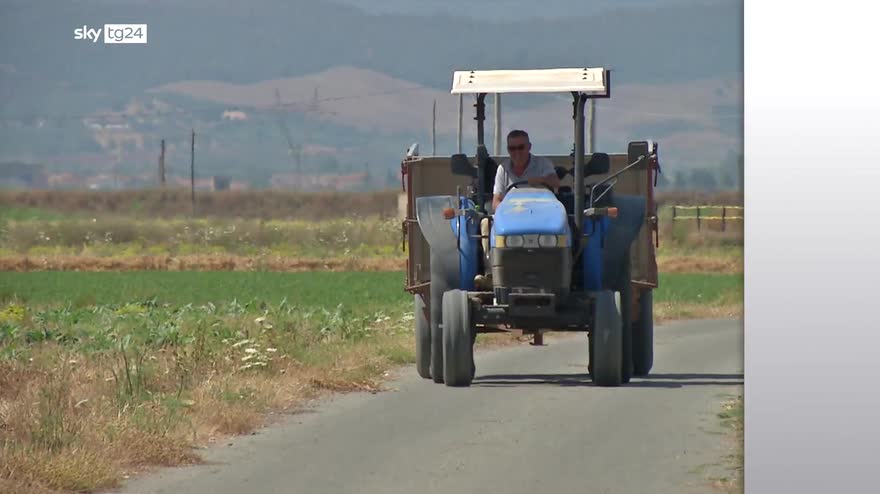 Guerra in Ucraina, i rincari delle materie prime alimentari