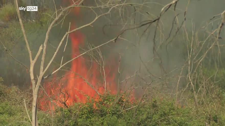 Incendi Roma, l'ombra del dolo dietro il boom di roghi
