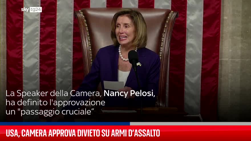 Usa, Camera approva divieto su armi d'assalto