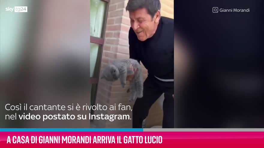 VIDEO A casa di Gianni Morandi arriva il gatto Lucio