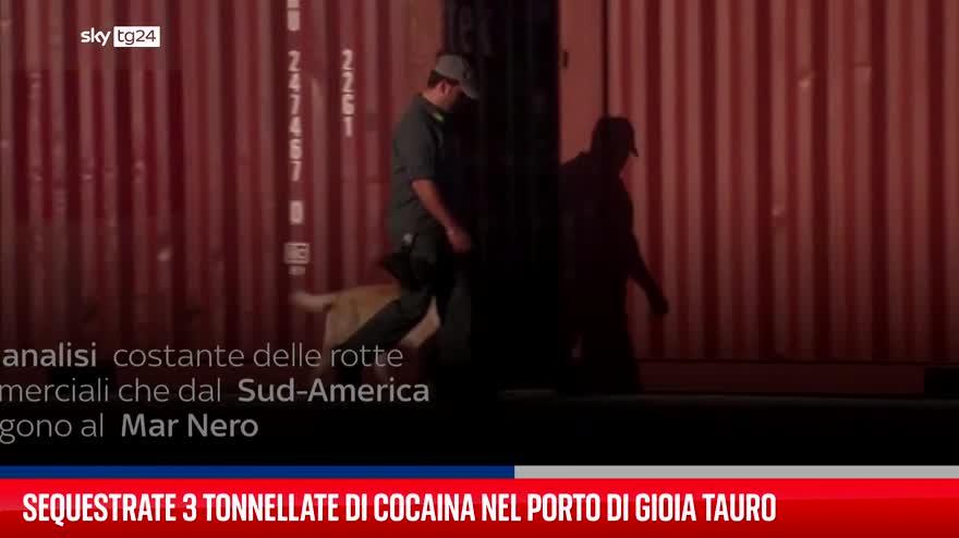 Sequestrate 3 tonnellate di cocaina nel porto di Gioia Tauro