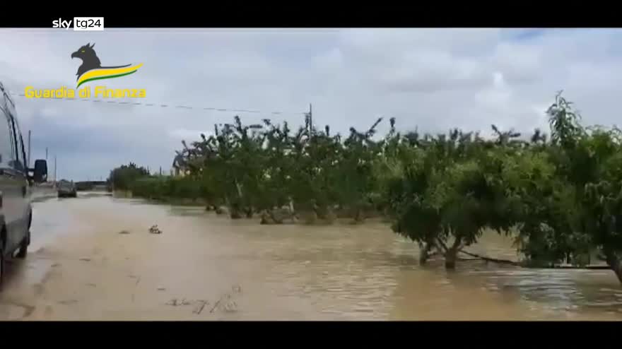 Alluvione, danni all'agricoltura per oltre 1,5 miliardi