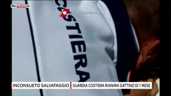 MCH GATTO SALVATO GUARDIA COSTIERA