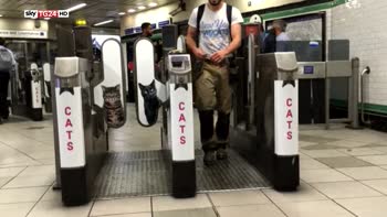 Metro Londra, gattini VS pubblicità