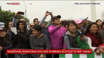 Maratona con cani in Perù