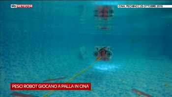 Robot subacquei in Cina