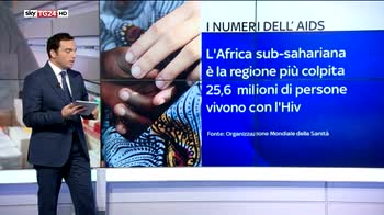 Giornata mondiale contro l Aids, i numeri dell epidemia