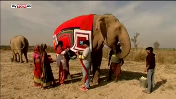 Per coprire un grande elefante occorre un grande maglione