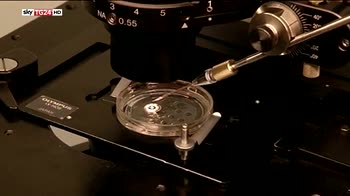 Scienza, è un topo il primo embrione artificiale