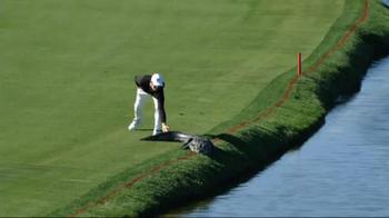 Video alligatore golf