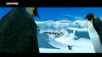 Giornata mondiale pinguini, l'omaggio del Cinema