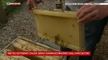 Cambiamenti climatici e produzione miele in Australia