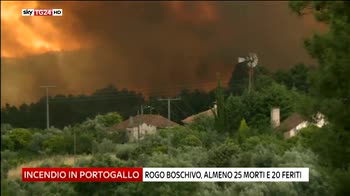 incencio portogallo macchia 8