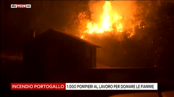 incendio portogallo