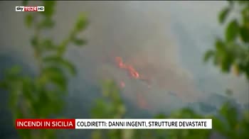 Incendi, situazione cirtica in Sicilia