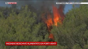 Incendio boschivo in Montenegro