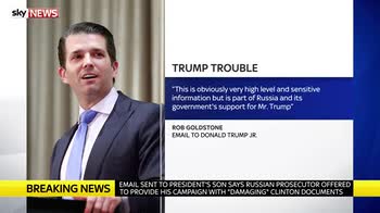Trump Jr releases Russia meeting emails