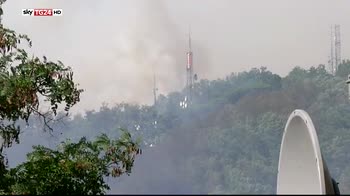 Vesuvio in fiamme, spenti i roghi, danni per milioni