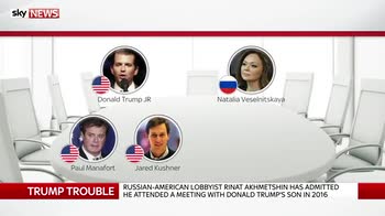 Russian lobbyist admits meeting Trump Jr