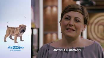 Antonia Klugmann