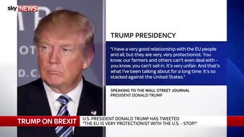 Trump to be 'involved' with UK after Brexit