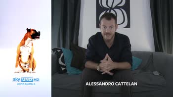 Alessandro Cattelan
