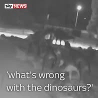 Vandals behead dinosaurs at Australian museum