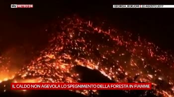 In Georgia decine di ettari di foresta in fiamme