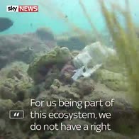 Scuba diver: Stop using plastic