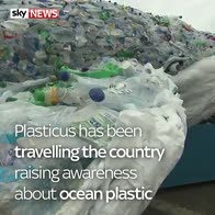 Public vote names Sky's plastic whale