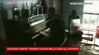 Harvey  pianista nella casa alluvionata